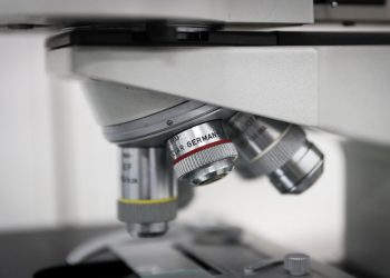 Científicos descubren relación entre bacterias y el cáncer