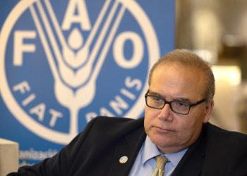 FAO quiere profundizar la cooperación con el nuevo Gobierno de Guatemala