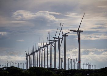 Mercado de energía eólica creció a nivel global en 2023. / Foto: EFEverde.