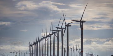 Mercado de energía eólica creció a nivel global en 2023. / Foto: EFEverde.
