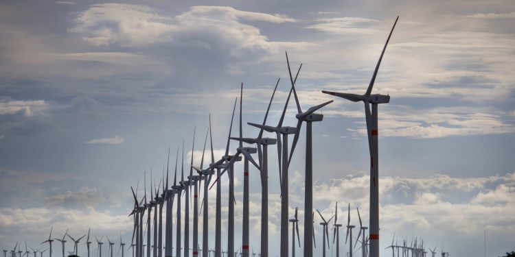 Mercado de energía eólica creció a nivel global en 2023. / Foto: EFEverde.
