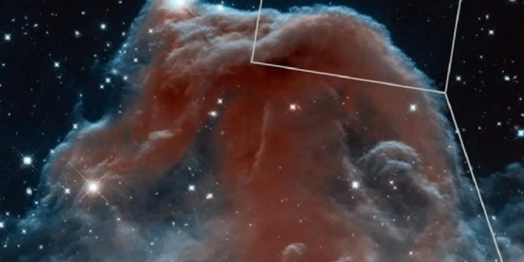 NEBULOSA CABEZA DE CABALLO