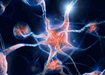 Descubren papel de proteína en daños cerebrales. / Foto. Archivo.