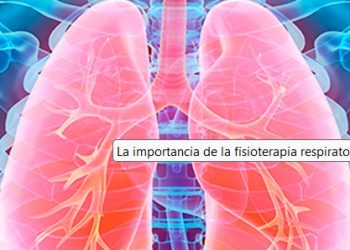 Identifican las células que protegen las vías respiratorias del agua o la acidez