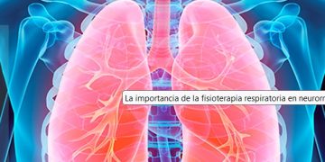 Identifican las células que protegen las vías respiratorias del agua o la acidez