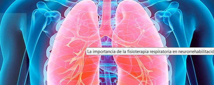 Identifican las células que protegen las vías respiratorias del agua o la acidez