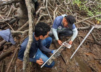 Panamá protege sus humedales ante el cambio climático. / Foto: EFE.