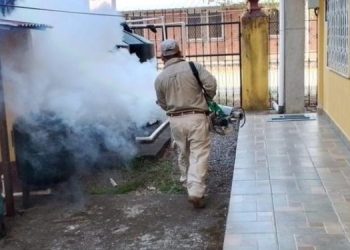 Ministerio de Salud mantiene la alerta epidemiológica por casos de dengue en 12 departamentos