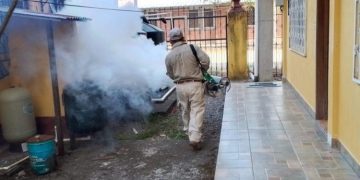 Ministerio de Salud mantiene la alerta epidemiológica por casos de dengue en 12 departamentos