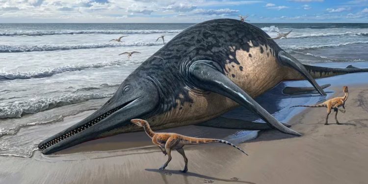 Restos descubiertos por una niña pueden ser de reptil gigante./ Foto: Infobae.