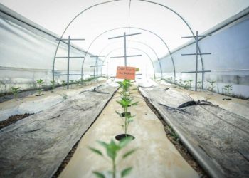 Retalhuleu cuenta con una Escuela Técnica de Campo para la Alimentación Escolar