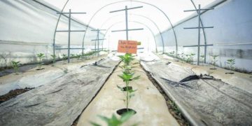 Retalhuleu cuenta con una Escuela Técnica de Campo para la Alimentación Escolar