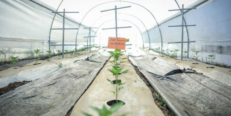 Retalhuleu cuenta con una Escuela Técnica de Campo para la Alimentación Escolar