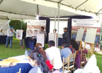 Impulso a la agricultura familiar en Sololá y Quetzaltenango