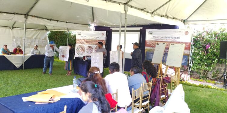 Impulso a la agricultura familiar en Sololá y Quetzaltenango