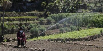 El MAGA busca fortalecer la capacidad de producción agrícola con sistemas de riego