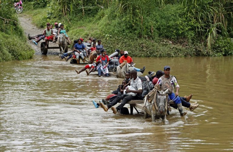 Un total de 118 mil migrantes irregulares han cruzado la selva del Darién en lo que va de 2