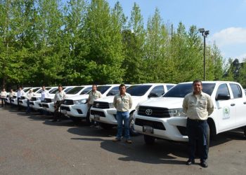 Vehículos oficiales