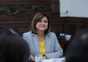 Vicepresidenta Karin Herrera