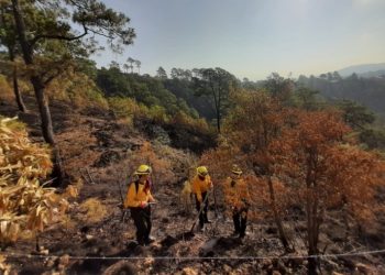 La Conred reporta avances en control de incendios forestales