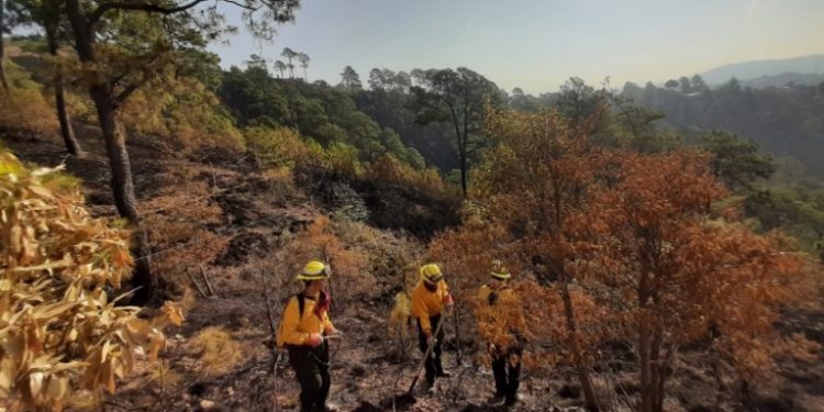 La Conred reporta avances en control de incendios forestales