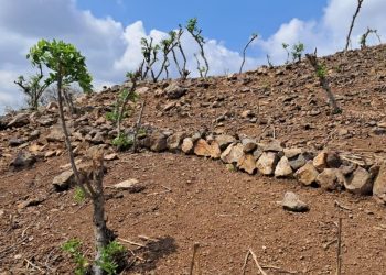 Protección de los suelos