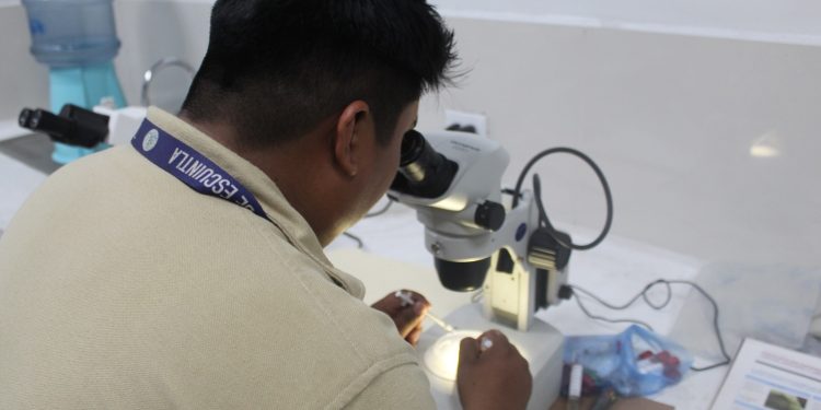 Escuintla refuerza medidas para la prevención de enfermedades durante transición del verano al invierno