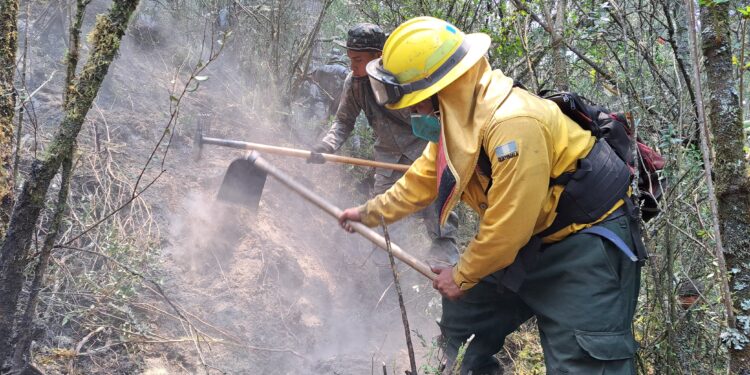 Continúan acciones por incendio forestal en volcán Tajumulco