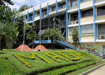 Tras realizar análisis exhaustivos, la Conred y el Insivumeh han confirmado que la calidad del aire ha mejorado. / Foto: MAGA.