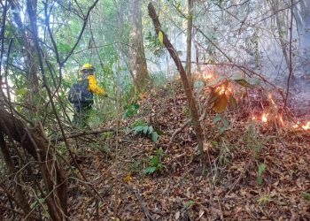 Garantizan la protección del medio ambiente y la seguridad de la población jalapaneca