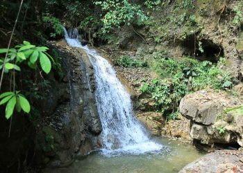 MAGA brindará acceso a sistemas de riego a través de la tecnología