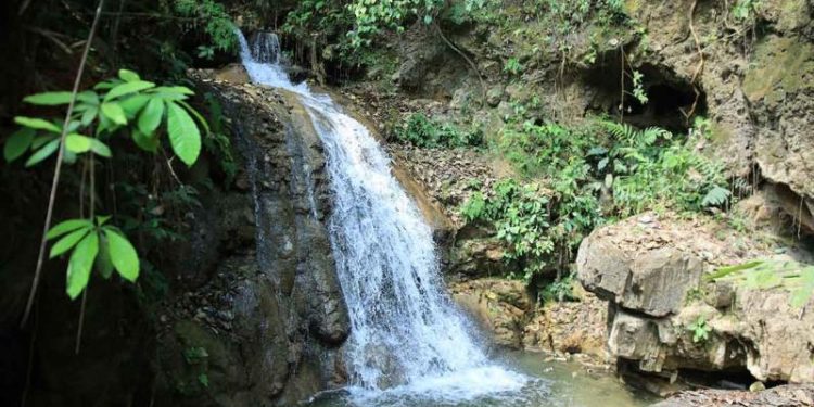 MAGA brindará acceso a sistemas de riego a través de la tecnología