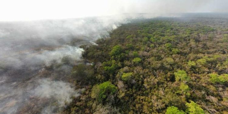 Los incendios de la temporada seca siguen afectando a Petén. / Foto: MAGA.