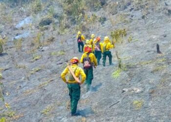 Combaten 12 incendios forestales en áreas protegidas de Petén