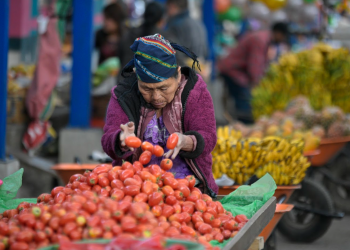 Los números en ixil se basan en el sistema numérico maya de base 20. / Foto: Alejandro García.