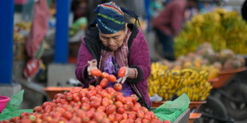 Los números en ixil se basan en el sistema numérico maya de base 20. / Foto: Alejandro García.