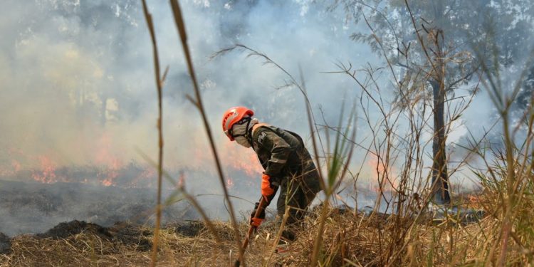 Este es el proceso para reportar y sofocar un incendio forestal