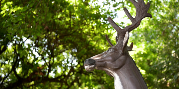 Suchitepéquez, "la tierra del venado". / Foto: Alejandro García.