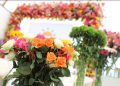 12 millones de tallos de flores guatemaltecas llegarán a diferentes países para celebrar el Día de la Madre