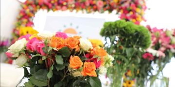 12 millones de tallos de flores guatemaltecas llegarán a diferentes países para celebrar el Día de la Madre