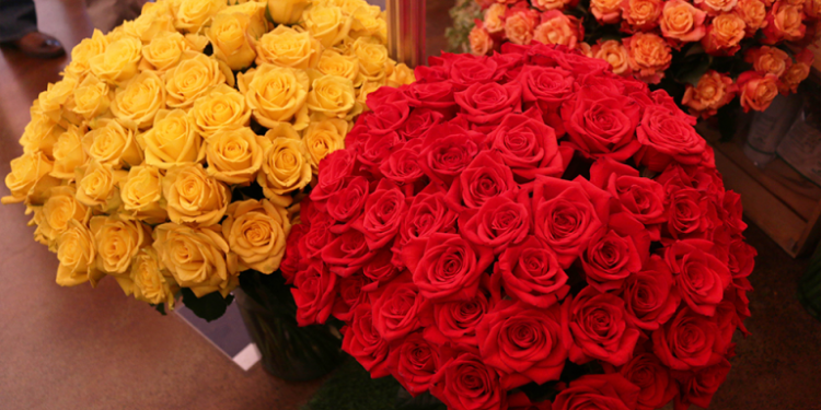 Guatemala será sede del III Congreso de Plantas Ornamentales, Follajes y Flores. /Foto: Agexport.