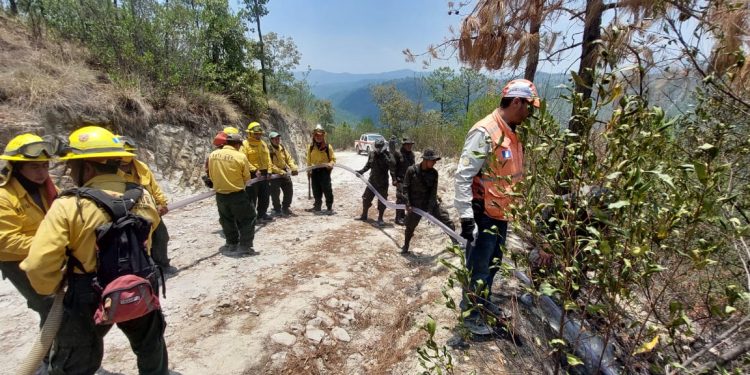 Logran el 100 % de control y 90 % de liquidación de incendio en Sipacapa, San Marcos