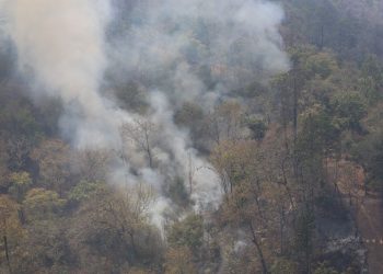 Mantienen acciones de respuesta para sofocar incendio forestal en Sierra de Las Minas