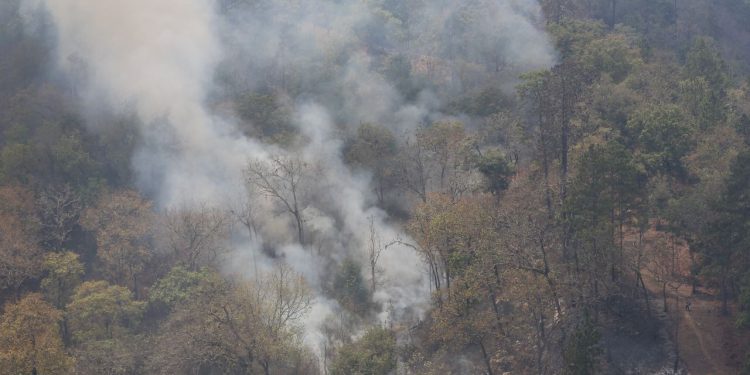Mantienen acciones de respuesta para sofocar incendio forestal en Sierra de Las Minas