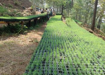 Promueven sostenibilidad forestal en Zacapa