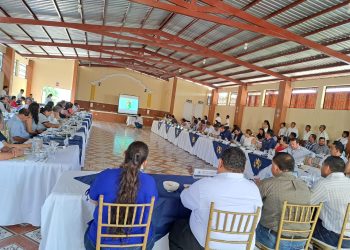 Dan seguimiento a las acciones de seguridad, reforestación, cultura y salud en Santa Rosa