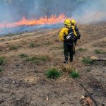 Trabajo conjunto para combatir incendio forestal en Jalapa