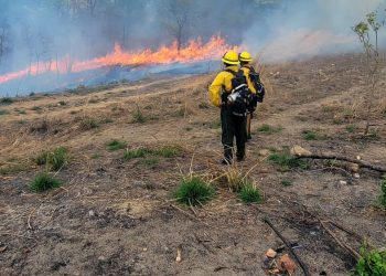 Trabajo conjunto para combatir incendio forestal en Jalapa