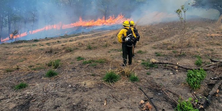 Trabajo conjunto para combatir incendio forestal en Jalapa