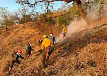 Se reportan 153 hectáreas afectadas por incendios forestales en Jalapa